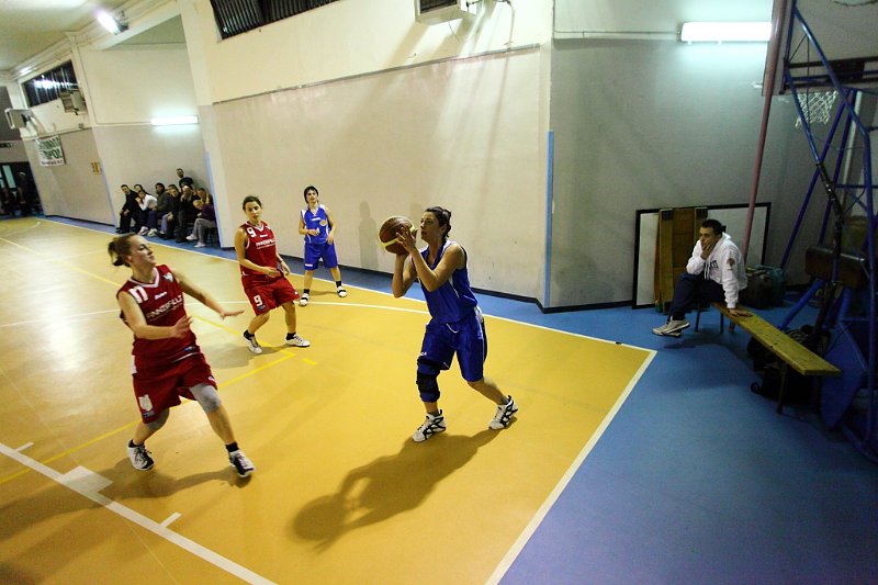 Basket 443048